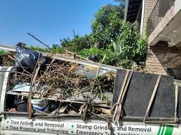 Best Demolition Debris Removal  in Rainbow, CA